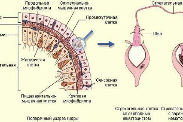 Кракен вход на сайт