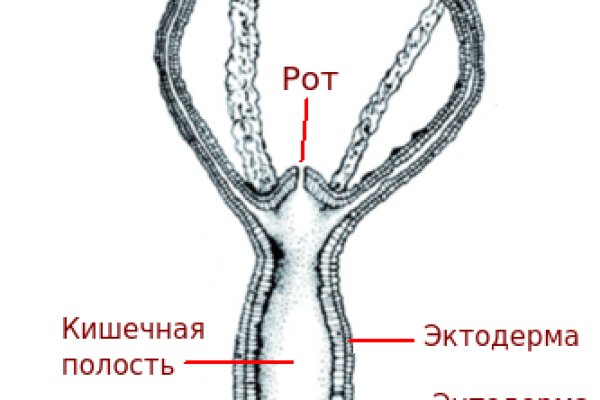 Кракен сайт продаж