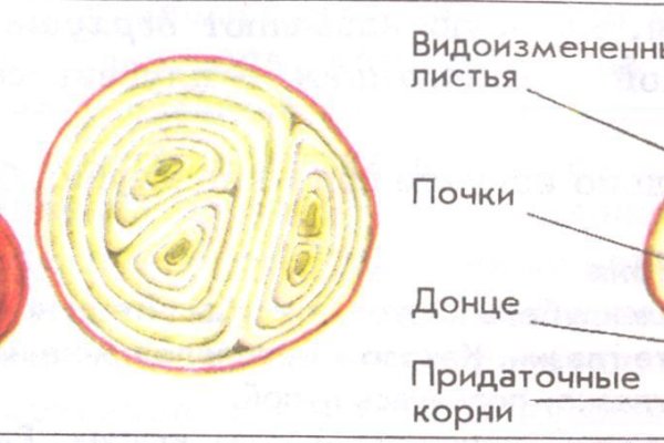 Kraken 15 at сайт