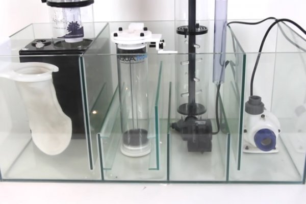 Кракен даркнет store kraken dark link