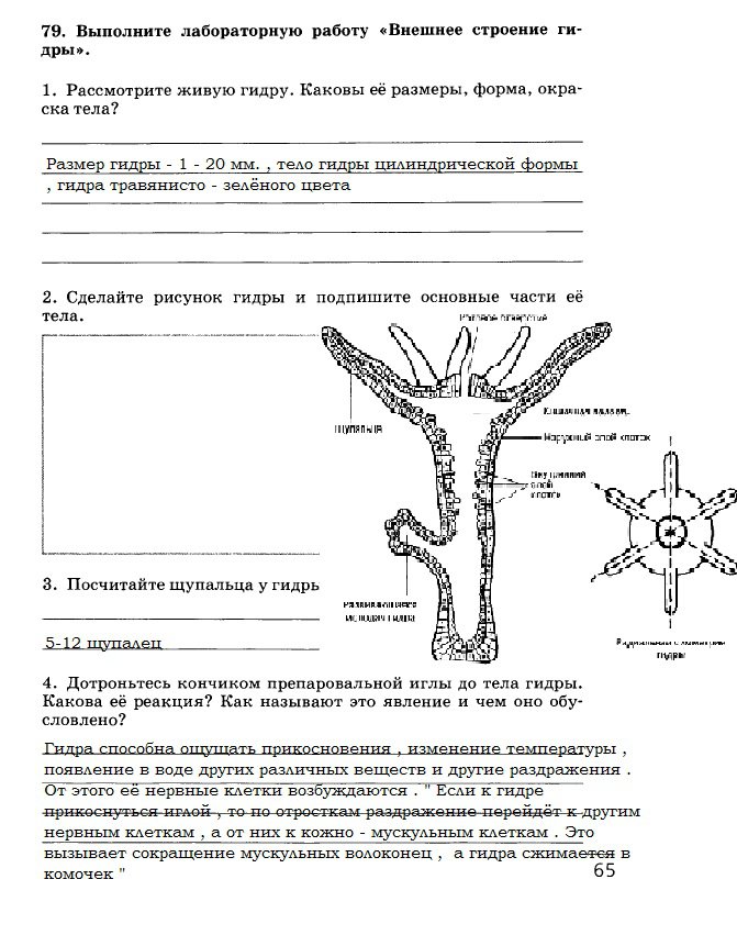 Кракен зеркало сайта