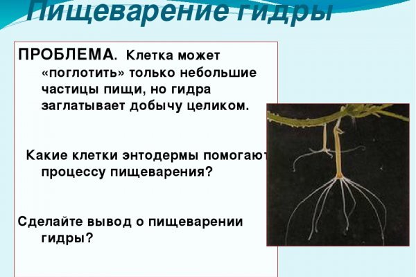 Kraken13at