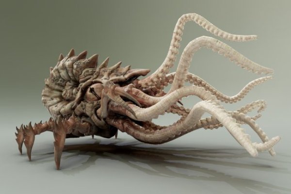 Kraken 17at