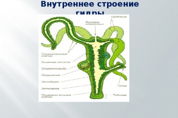 Кракен лого маркетплейс
