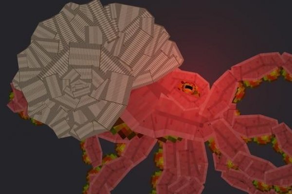 Kraken 24at