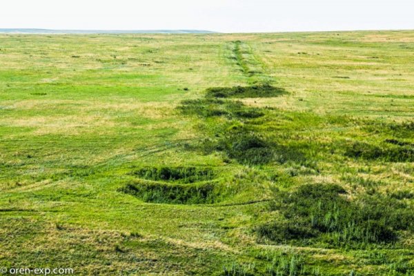 Кракен не работает сегодня