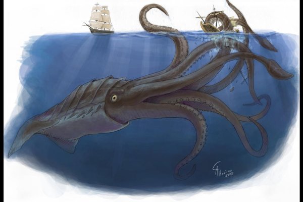 Kraken 12 at